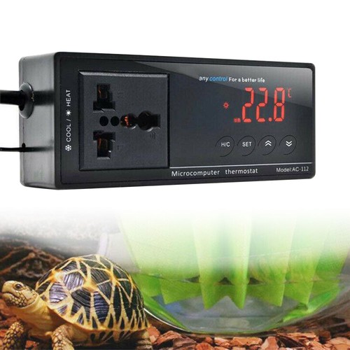 For lizard digital reptile - for,