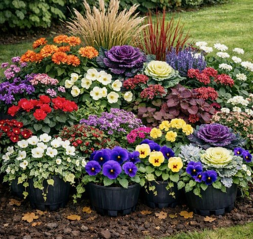 Autumn and winter garden ready - winter,