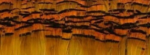 Fly tying golden pheasant - golden,