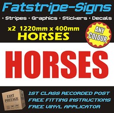 HORSES VINYL x2 GRAPHICS