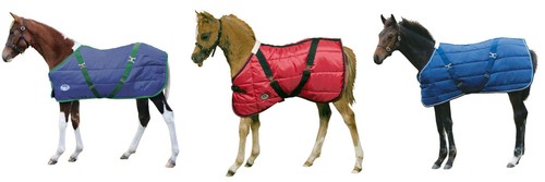 Weatherbeeta 220g mediumweight - weatherbeeta,