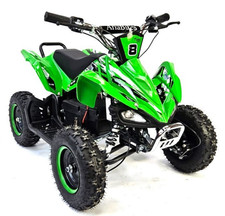 800w Electric Quad Bike, 800W