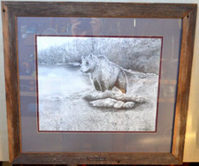 Silver - Tips Grizzly