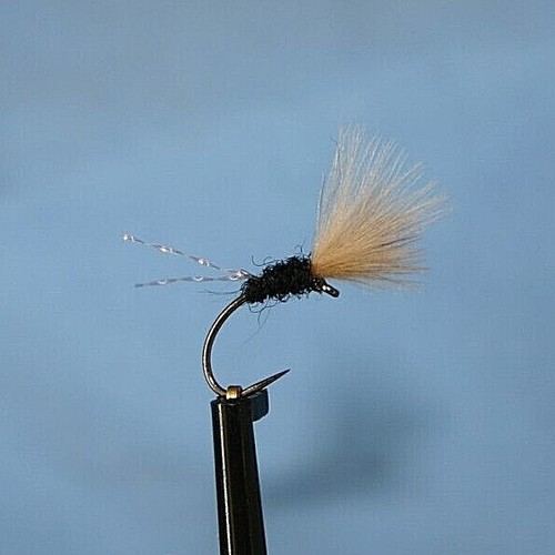 Sparkle cdc emerger trout - 3,