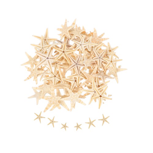 60pcs 8 starfish - 60pcs, for