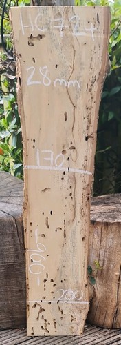 Live edge spalted chestnut - live,