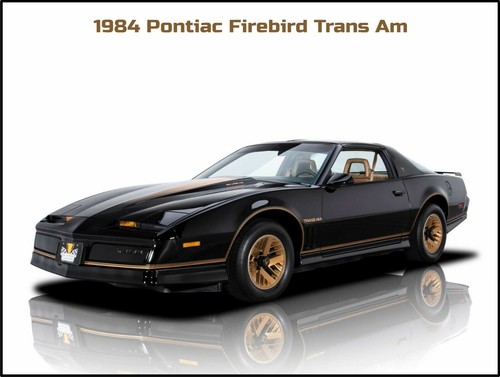 1984 pontiac firebird trans - pontiac, am