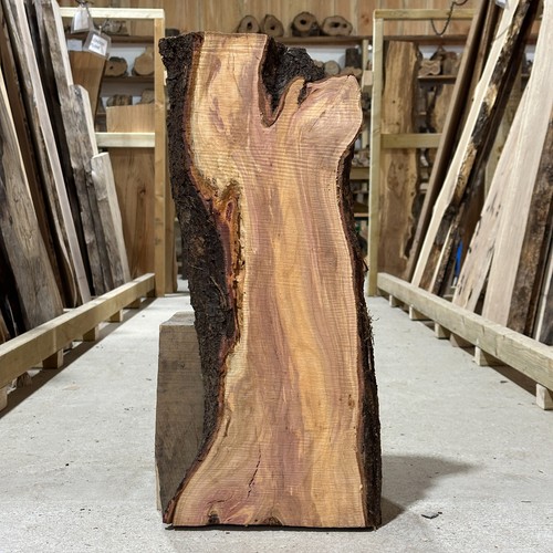 Plum sawn board blank waney - plum,