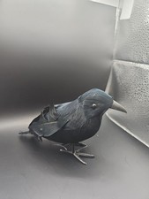 Brand New Decorative/Craft Black Bird/Crow. Gothic Party. set of 5 Home Decor