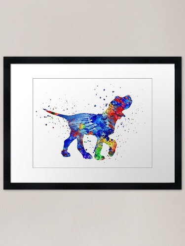 Italian spinone - italian,