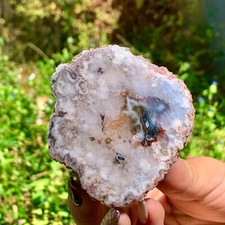 76G Natural Black Flower Agate SlabThick Slice Crystal Museum level /Moroccan