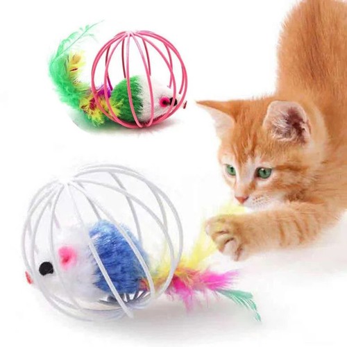 Indoor play interactive cat - indoor,