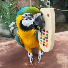 Remote Control Chewable Parrot