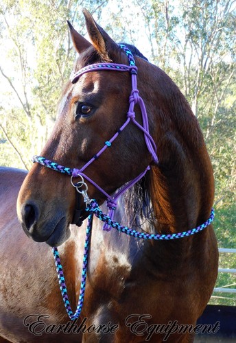 Earthhorse equipment bitless - equipment,,