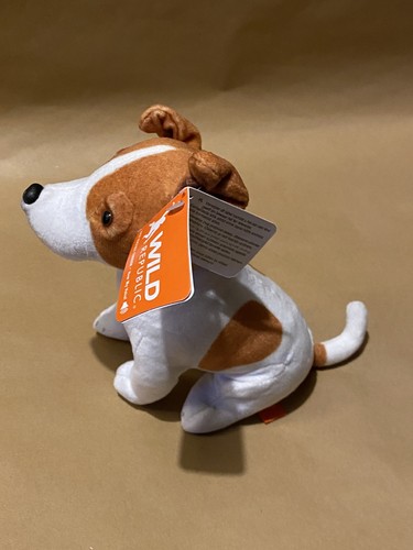 Jack russell terrier inch - russell,