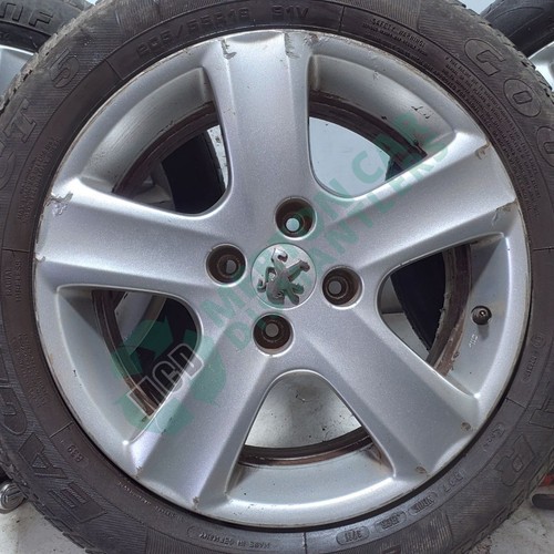 Peugeot 307 ariane - 16",