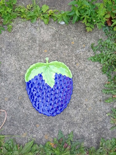 Zara home grapes fruit - zara,