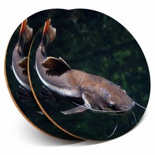 2 x Coasters - Redtail Catfish Fish Fishing Pond Lake Home Gift #24100