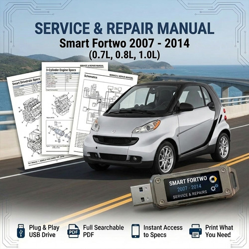 Smart fortwo 2009 2010 - 2010, 2011