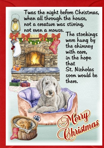 Bedlington terrier dog - terrier,