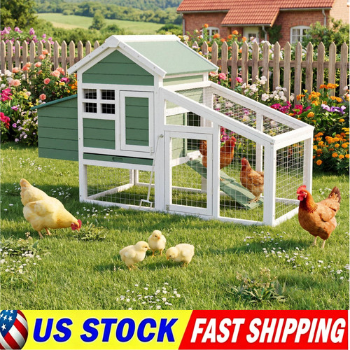 Chicken coop outdoor wooden - chicken,