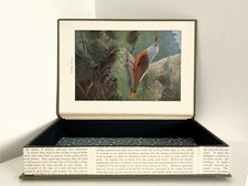 Hollow Book-Key Safe-Jewellery
