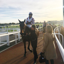 CHELTENHAM HORSE RACING