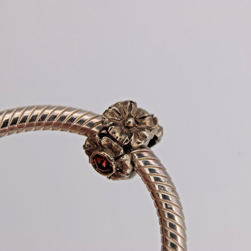 Pandora 790580gr january - pandora,