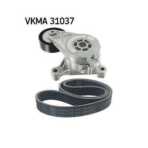 Ribbed belt set skf - belt, vkma
