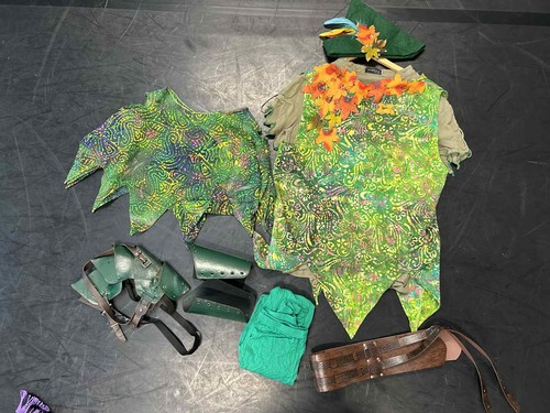 Panto peter pan robin - robin, hood