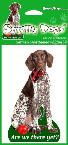 German shorthaired pointer gsp - pointer,