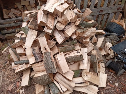 Unseasoned hardwood logs - hardwood, *free