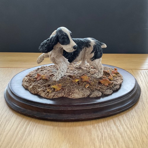 Country artists cocker spaniel - artists,