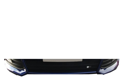 Zunsport front lower - front, grille