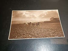Agricultural, Horse Drawn