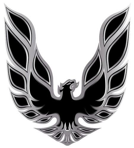 Pontiac firebird trans - firebird, am