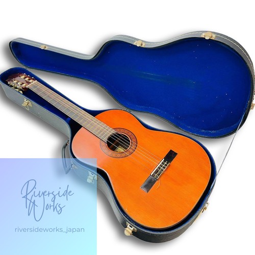 Fernandes acoustic guitar - fernandes,