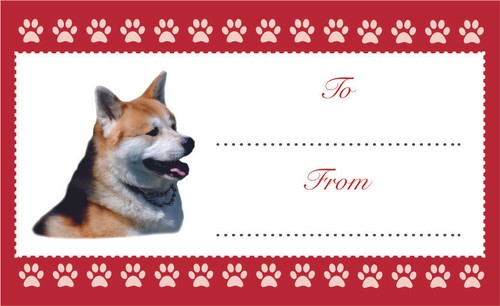 Akita dog christmas birthday - akita,