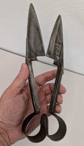 Antique sheep shears wool - shears,