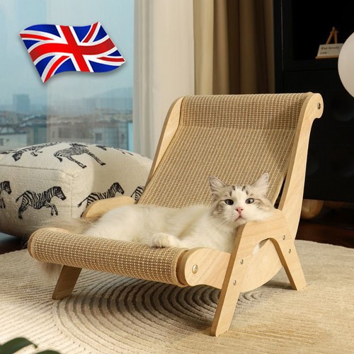 Cat lounge chair sofa kitten - sofa,