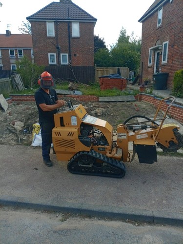 Tree stump grinding service - stump,
