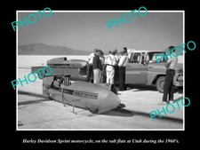 OLD 8x6 HISTORICAL PHOTO OF