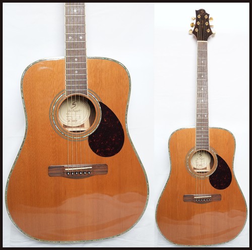 Samick greg bennett design - by,