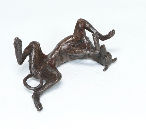 Greyhound lurcher back - on,