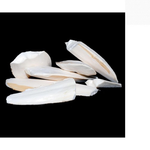 100g calcium rich broken - calcium-rich,