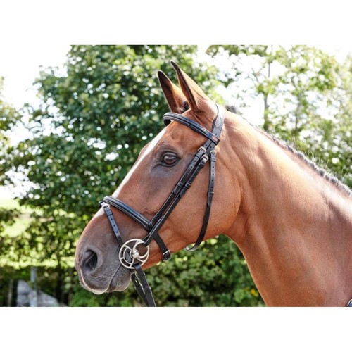 John whitaker barton flash - whitaker,