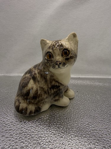 Winstanley tabby cat - tabby,