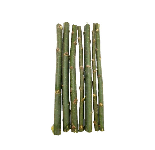 Austree hybrid willow - hybrid,