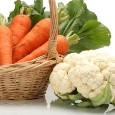 Vegetable Plants Mixed Multi-Pack Bundle - 36 x Plug Plant Pack - Ready to Plant