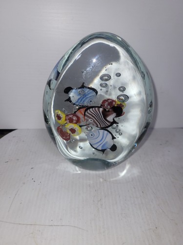 Murano glass fish aquarium - glass,